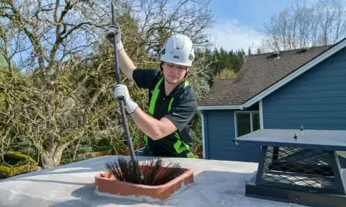 Chimney-Sweep